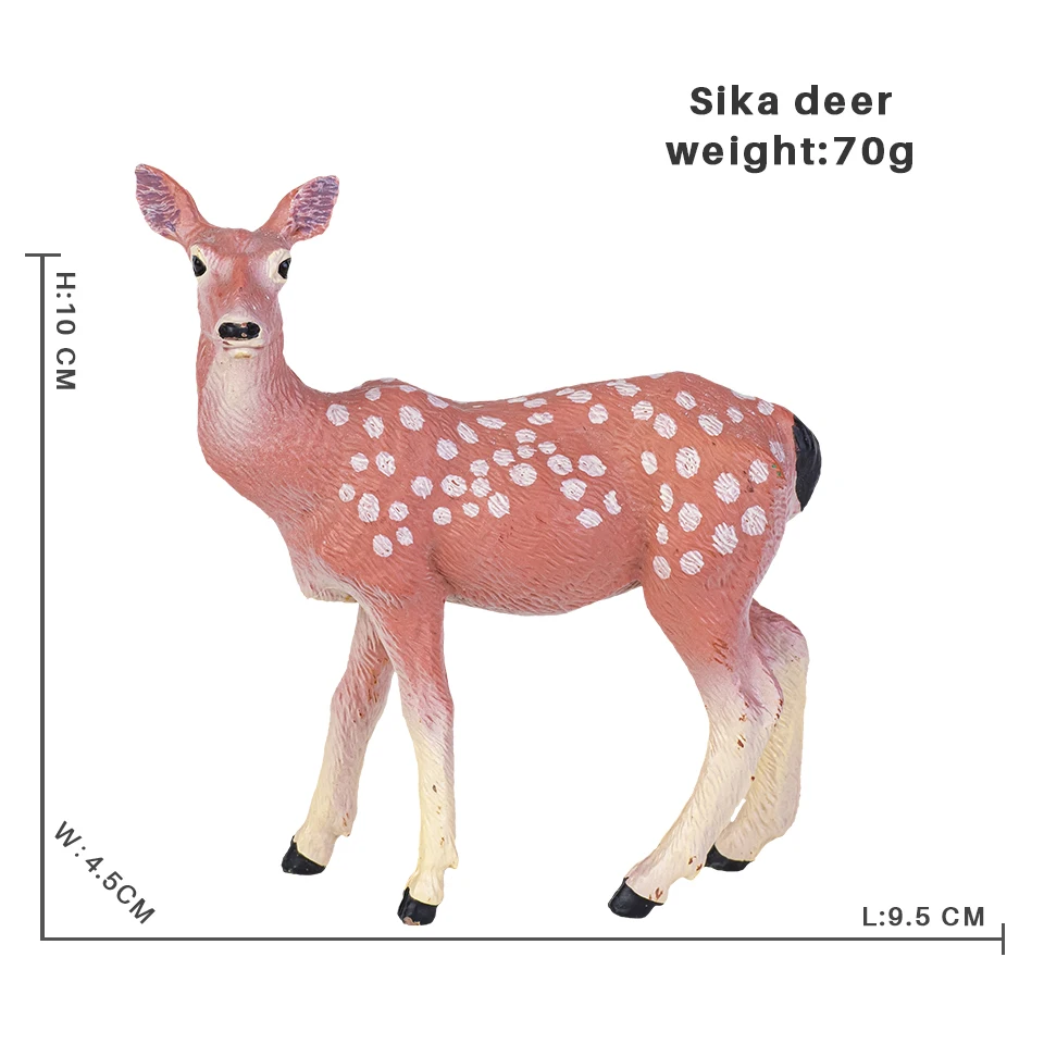 Sika deer1