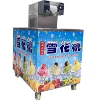 Best Price 110V 220V Bingsu Shaved Machine Electric Snow Cone Ice Shaver Maker Shaved Snow Flake Machine 1