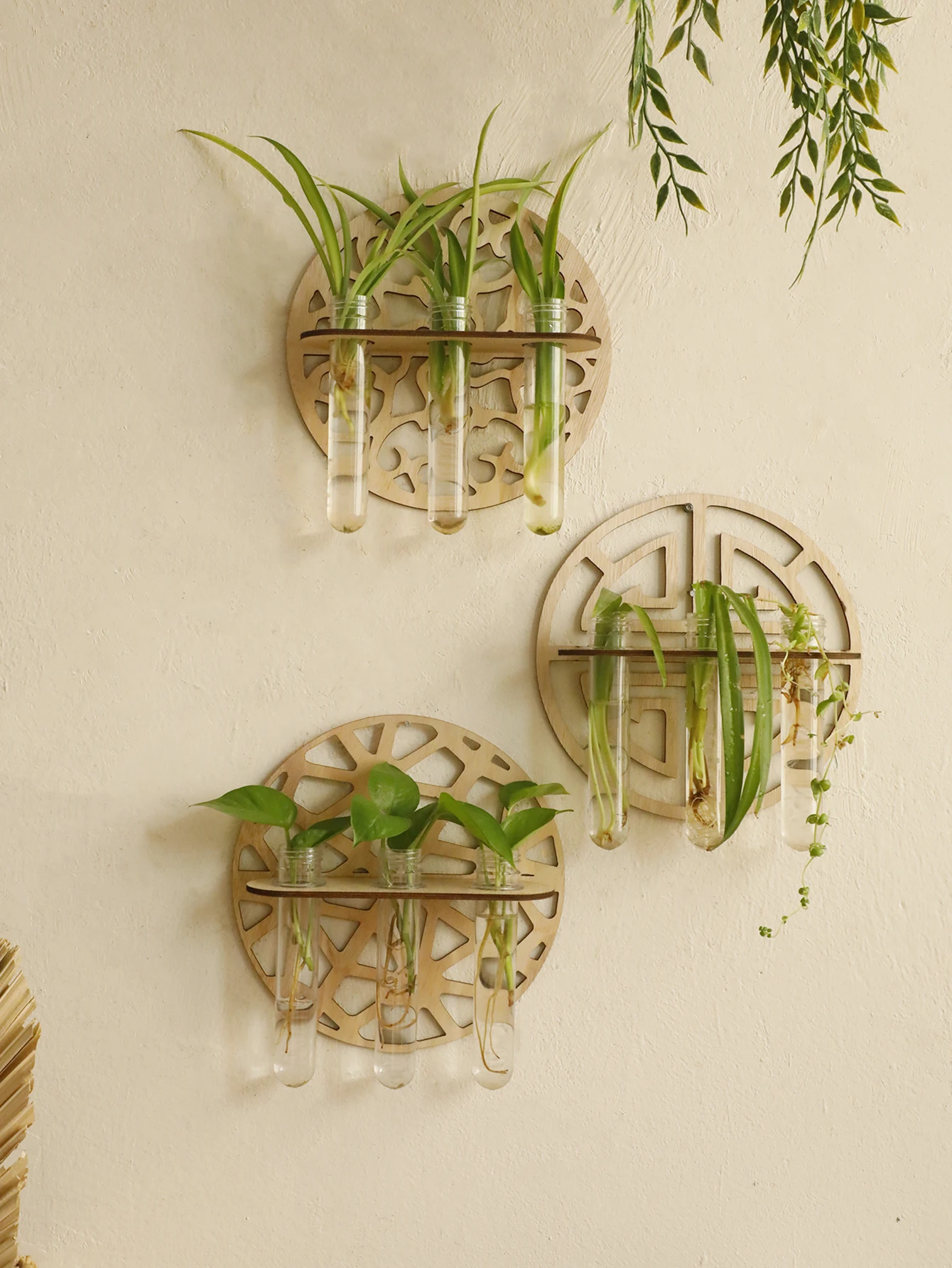 Wall-Mounted Rustic Wooden Flower Propagation Vase with Test Tubes