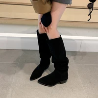 2025 New Kid Suede Retro Women Boots Autumn Winter Slip-On Boots for Women Pointed Toe Square Heel Basic Shoes Knee-high boots - Image 6