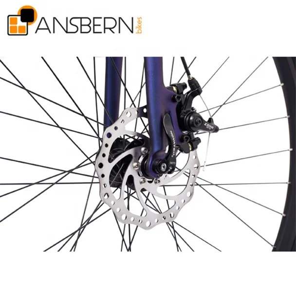 Ansbern High End City Bike 7 Speed Belt Drive City Star Bike Bicycle