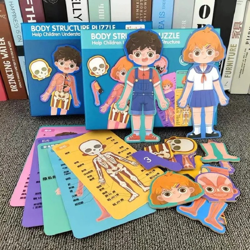 Kids Montessori 3D Puzzle Human Body Cognition Model Educational Learning Organ Assembled Toy Teaching Tool For Children