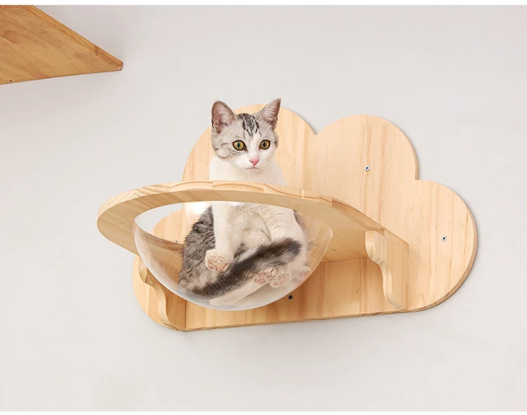 S75382874175f4e4794d355e86f8a7bfbp