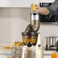 Easy To Clean With Brush 82mm Powerful Slow Cold Press Juicer With Large Feed Chute Electric Masticating Juicers For Vegetables 1