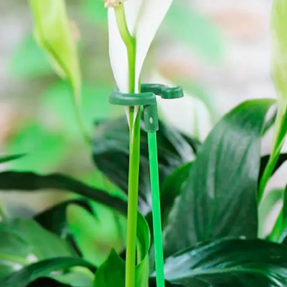 10/30 Pack 17/27/37/48cm Plant Stakes Reusable Plant Support Sticks Flower Stakes for Indoor and Outdoor Plants Flowers Tomatoes