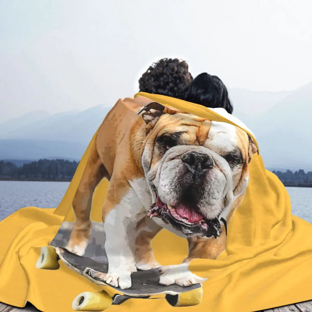 �ҵ� ������Ʈ ���� ������ �̱� ��� �ö��� ���� ���� �ҵ� �� ���� ���� ħ�� ���