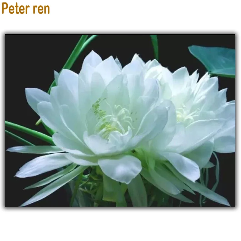 

Full Diamond Painting flowers Snow Lotus Herb Bedroom 3D Square Diamond Mosaic icon mural Diy Arts and Crafts Diamond Embroidery