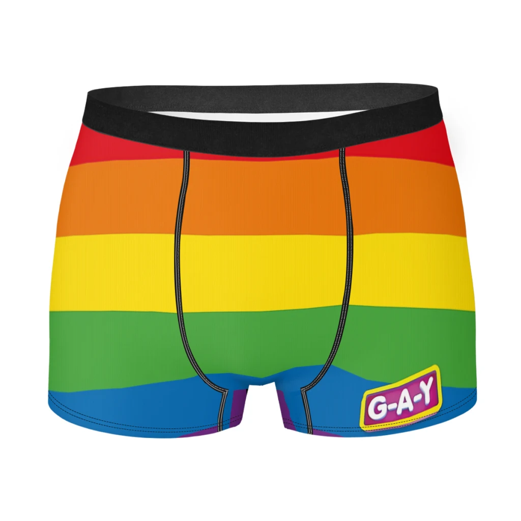 Culotte GAY En Coton Pour Hommes, Sous-vêtement Confortable, Boxer, Drapeau Arc-en-ciel, LGBT
