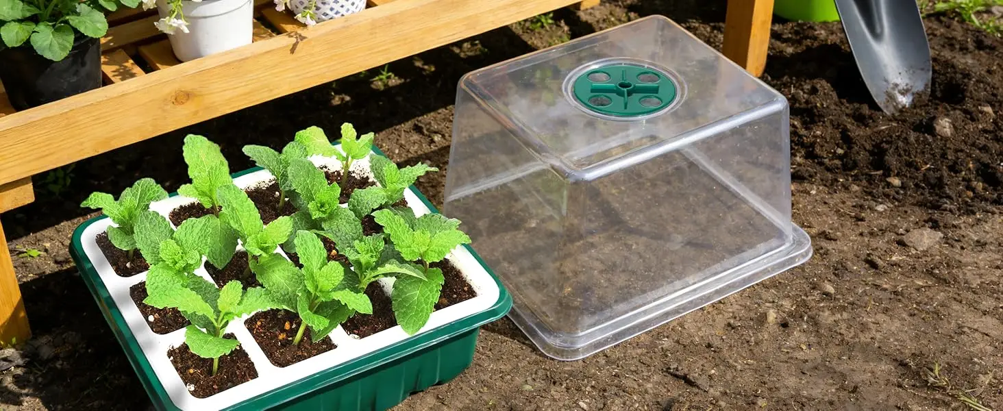 Reusable Seed Starter Kit