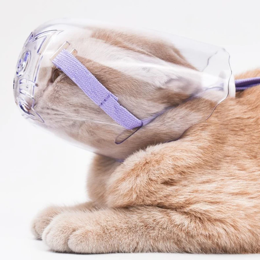 

Breathable Cat Dog Muzzle Anti-bite Grooming Mask Pet Kitten Mouth Mask Cover Muzzle for a Cat Bath Cleaning Tools