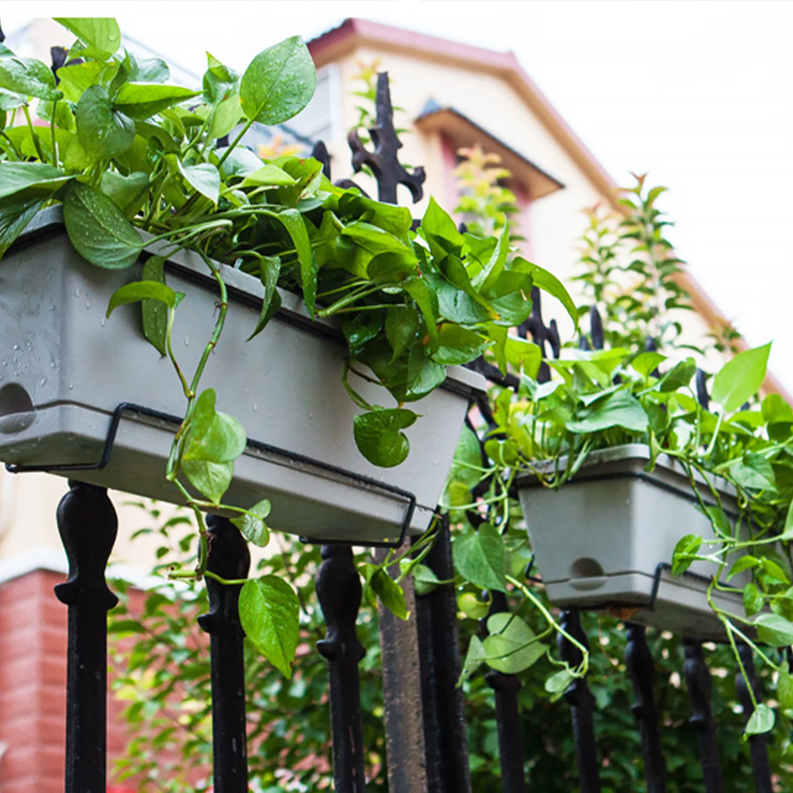 

Railing Hanger Deck Plant Stand Flower Pot Holder Balcony Hanging Planter Metal Fence Garden Decor Rack Outdoor Flowerpot