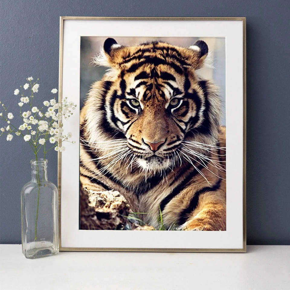ZGmaxCL 5D Diamond Painting Kit Tigre Soggiorno Quadri