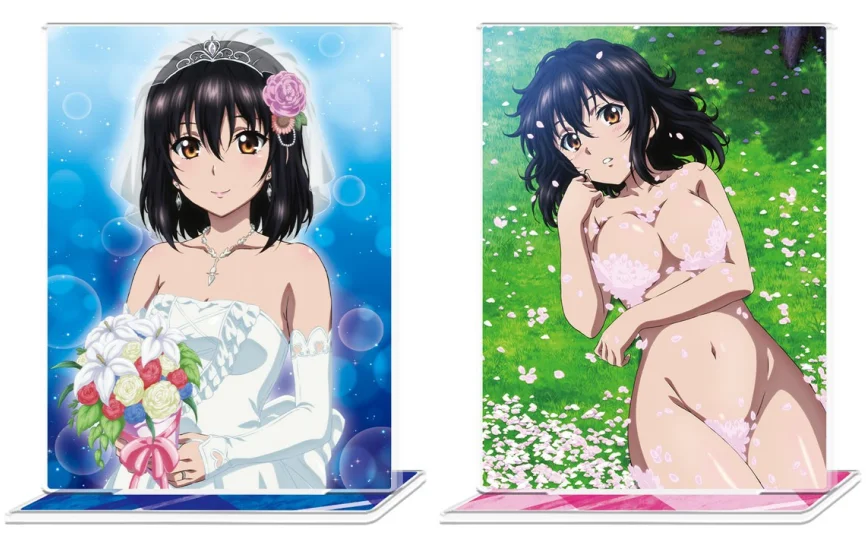 CDJapan : Character Card Box Collection NEO Strike The Blood IV Yukina  Himeragi Collectible