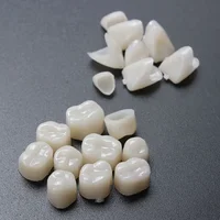 60pcs Resin Teeth Dentistry Dental Temporary Crown Material for Anterior & Molar Teeth Protecting Oral Care Whitening Stable 1