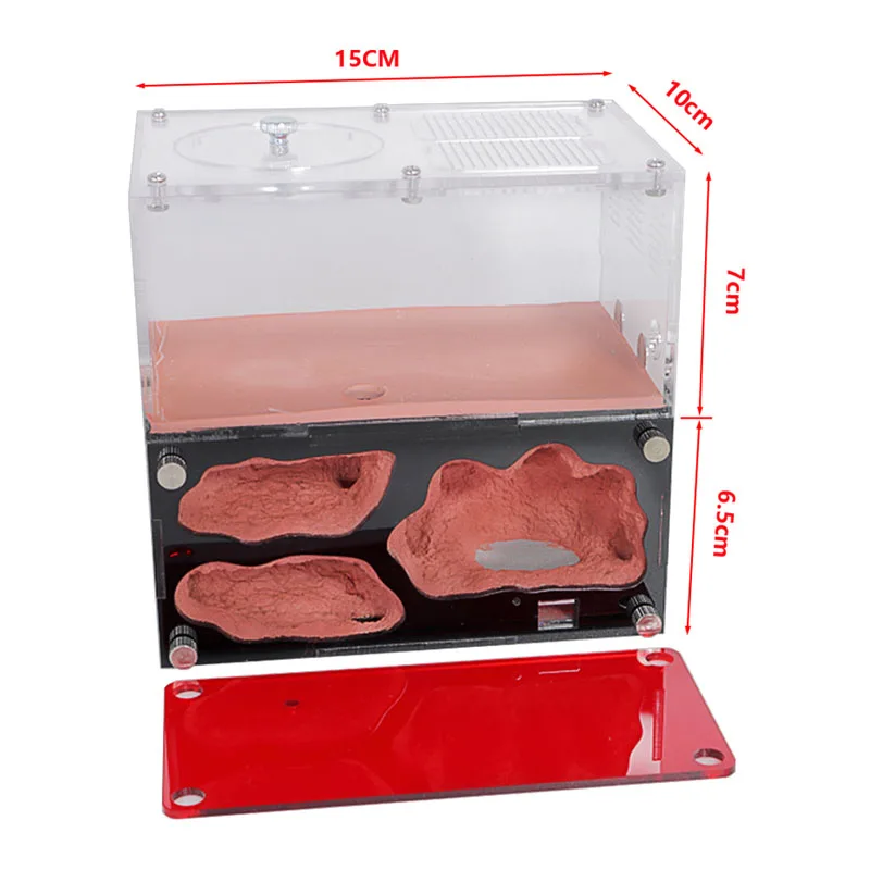 Ant Farm Supplies Ant Farm Insect Observation Box Insect Cage Ant farm acryl with drinker Temperature Control Concrete Ant Nest Infinite Expansion Insect House Colony Drinker Anthill Kit