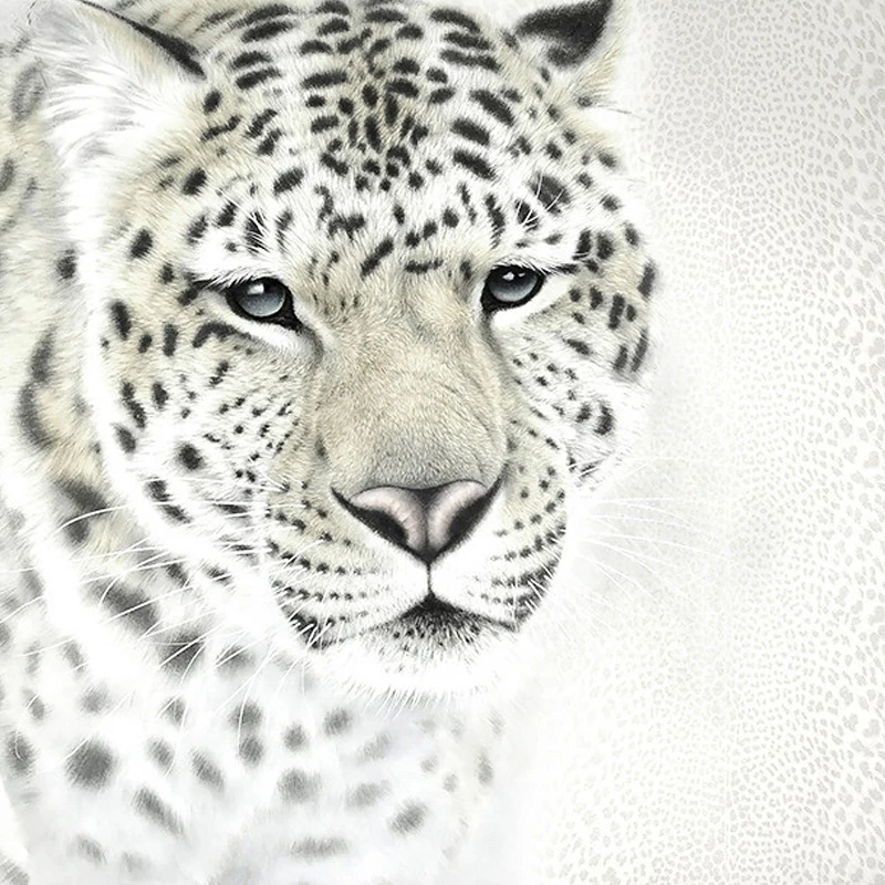 para sala de estar sala tv 04