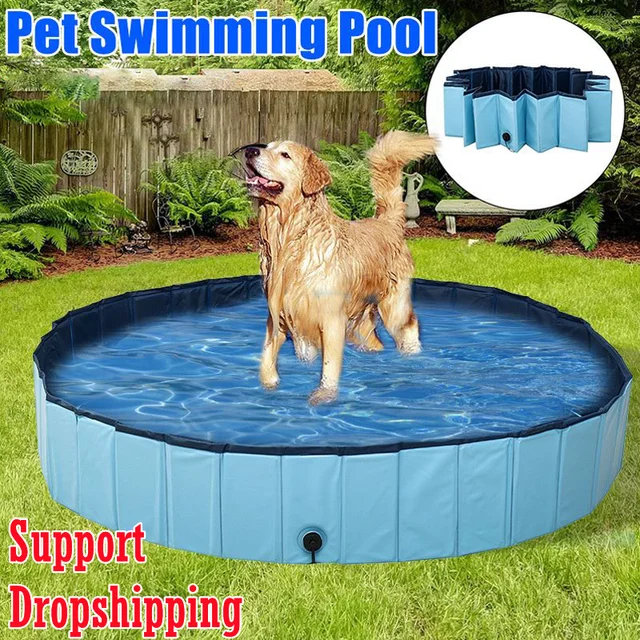 Piscine pour chien avec jet d'eau