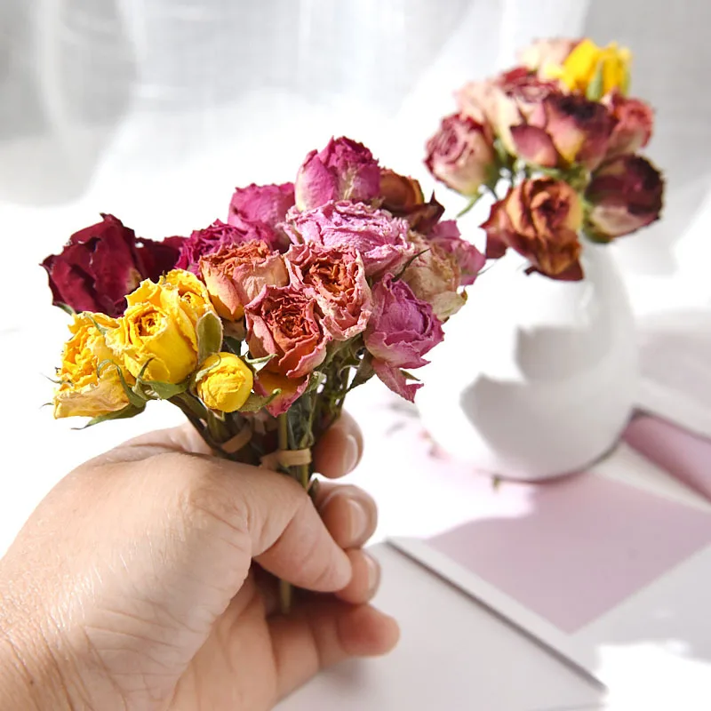 Mini Dried Flowers Bouquets Natural Gypsophila - 10pcs Mini Flower Bouquet  Natural - Aliexpress