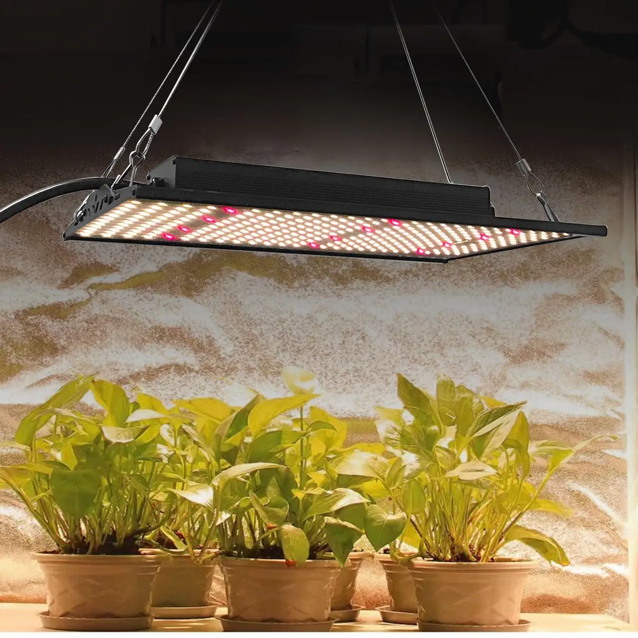 free shipping EU local warehouse 100W led grow light full spectrum grow ...