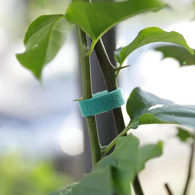 Növénykötegek Nylon Növényi Kötés Állítható Tartó Újrahasznosítható Szalagkapás Otthoni Kerti Kiegészítők Kert - Image 3