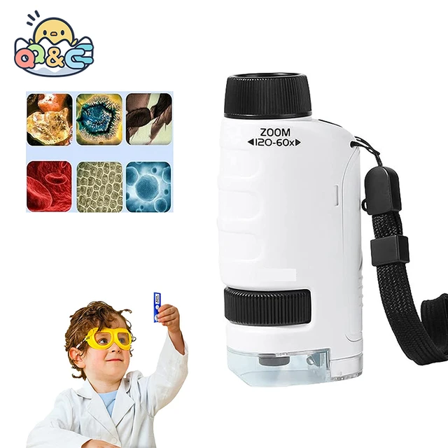 Rose Microscope portable jouets pour enfants zoom pour enfants 60x