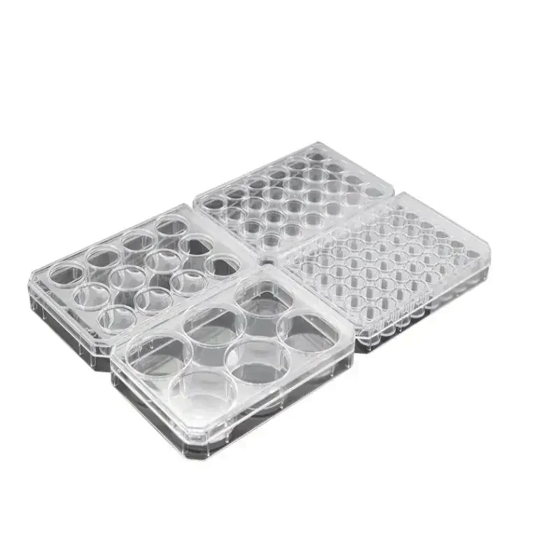 Thermo NUNC Cell Culture Plate 6/12/24 Holes Disposable Cell Culture Plates Flat Bottom Sterile Bacterial Treated Plate
