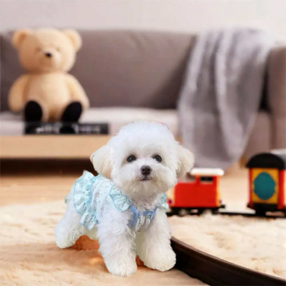 Summer Dog Dress 5
