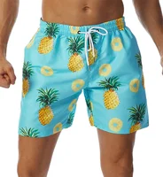 Simple Pineapple Graphic Beach Shorts Pants Men 3D Printing Surf Board Shorts Summer Hawaii Swimsuit Swim Trunks Cool Ice Shorts 2