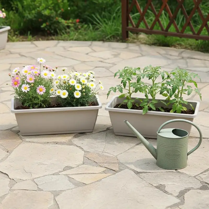 Compact Self-Watering Planter for Indoor Herbs and Vegetables with Drainage Base