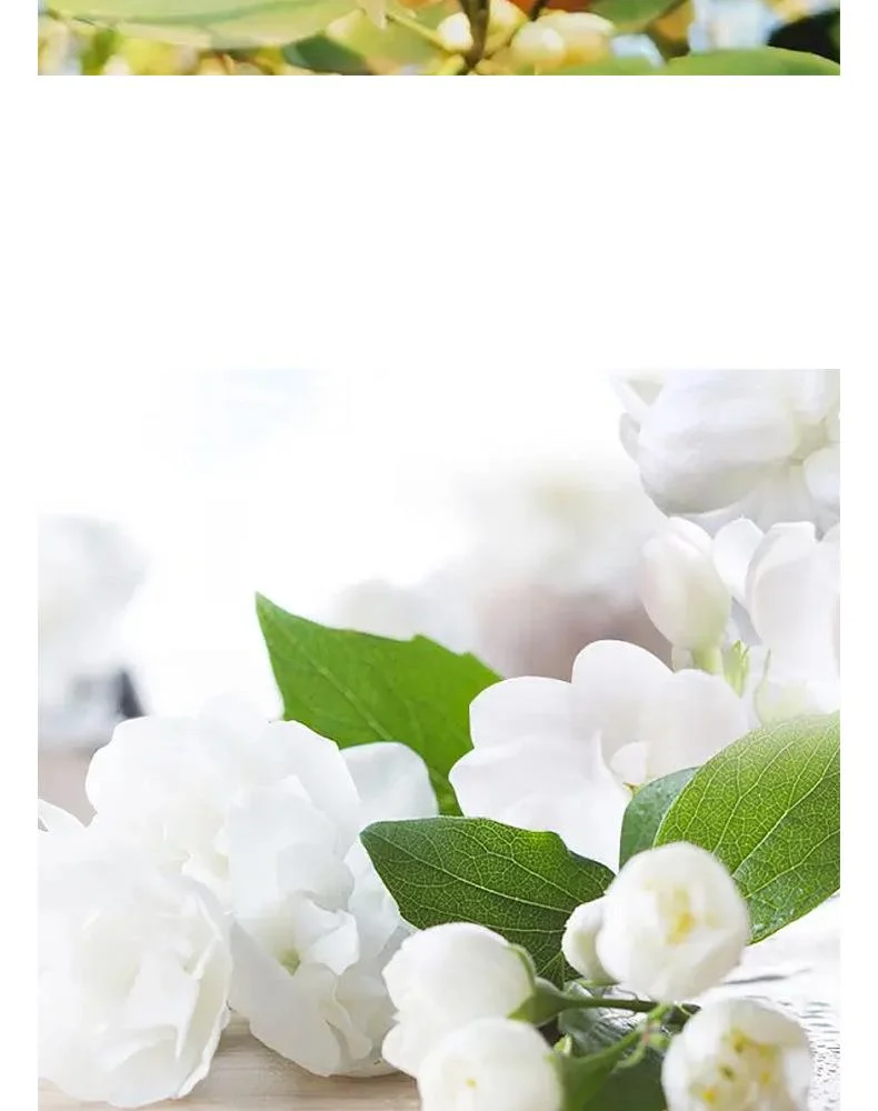Eau de toilette donna profumo persistente fresco note di erba_voghion.com