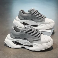 Casual Spring Thick Bottom Anti-Slip Fashionable Wear-Resistant Dad Sneakers Small Boys Shoes New Style Grid Lining Rubber Sole