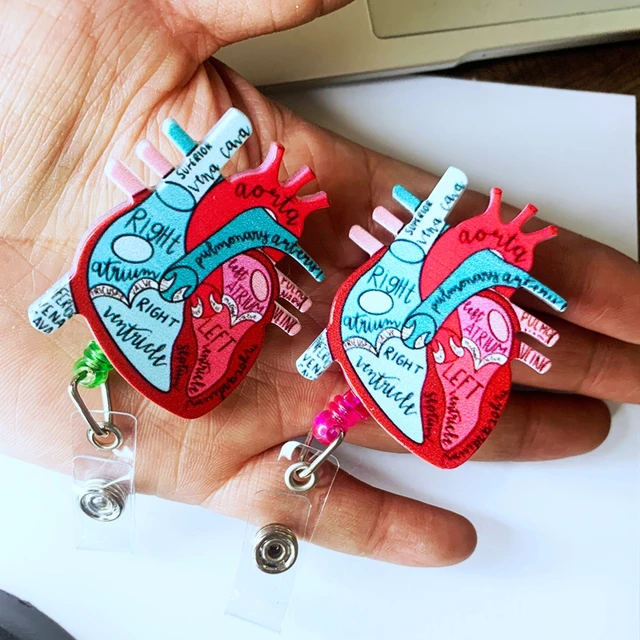 Bulk Oreder 2023 Anatomical Heart Diagram Retractable Badge Reel, Telemetry  Cardiology Nurse Badge Holder, Monitor Tech Nursing - AliExpress