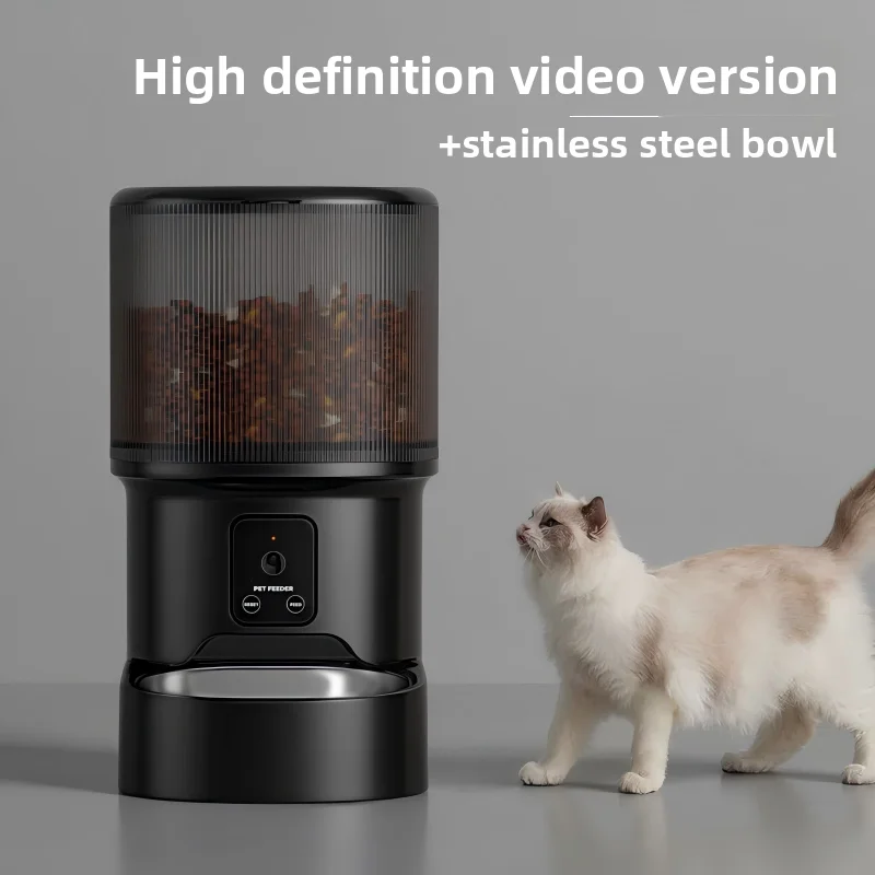 Black video
