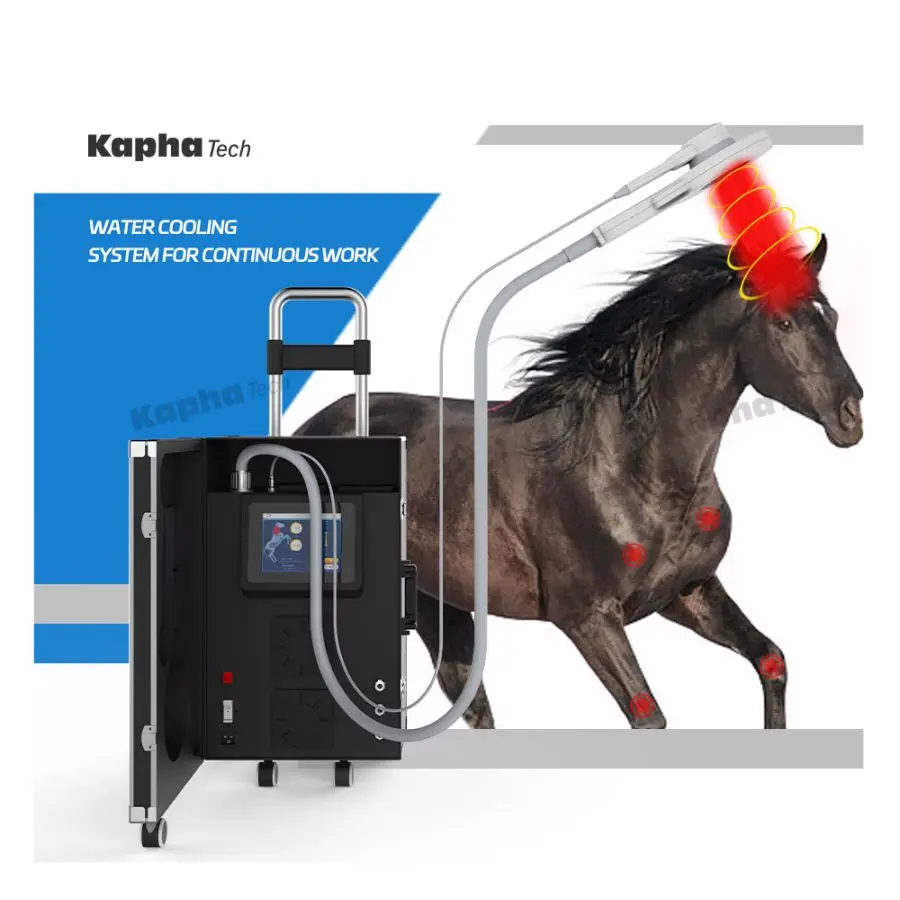 

Magnetic Therapy PEMF PMST VET Physio Magneto Machine for Horse Pain Relief