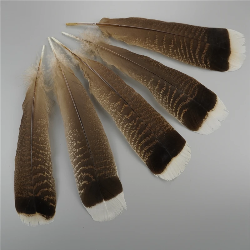Eagle White Natural Bristle Brushes