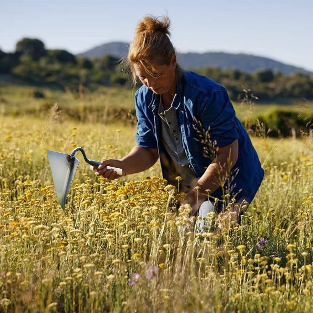 Description Picture 4 of itemFarm Tools Hoes Household Vegetable Planting Triangle Furrow Hoe Small Tip Hoe Agricultural Land Turning Loose Soil Triangle Hoe