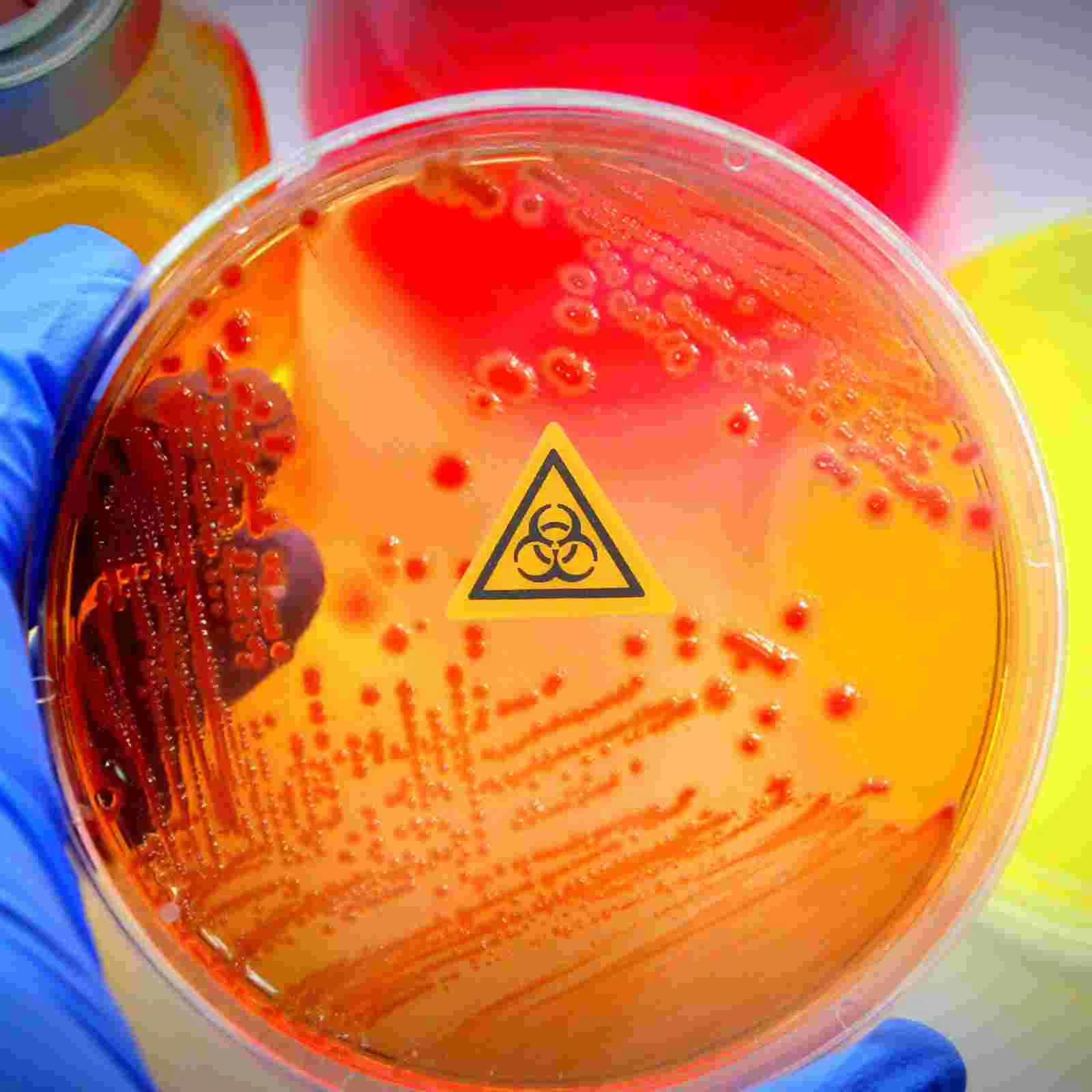 Рисунок 6 - этикетки, знаки, наклейки, фотолабораторная
