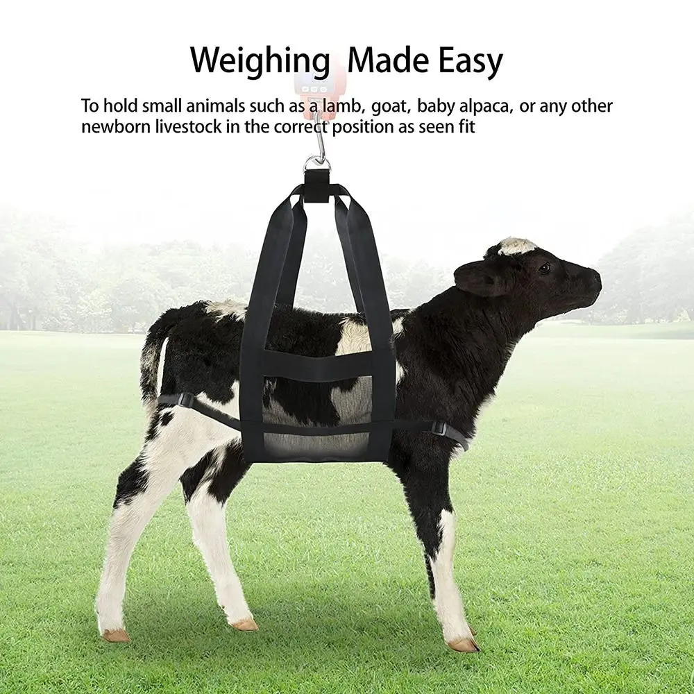 Durable Calf Newborn Lambs Animals Weighing Strap Livestock Hang Scale