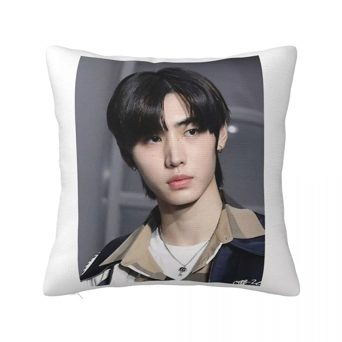 박성훈 베개 케이스 