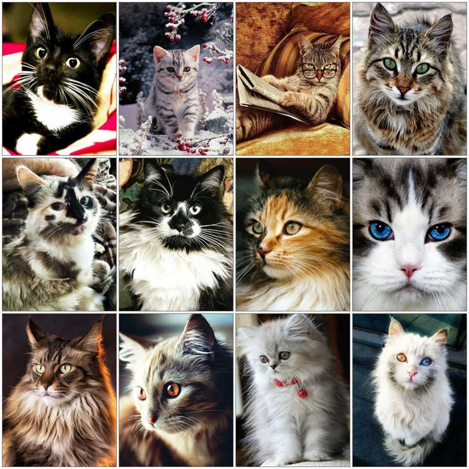 1 (8).jpg_.webp 1 (8).jpg_.webp