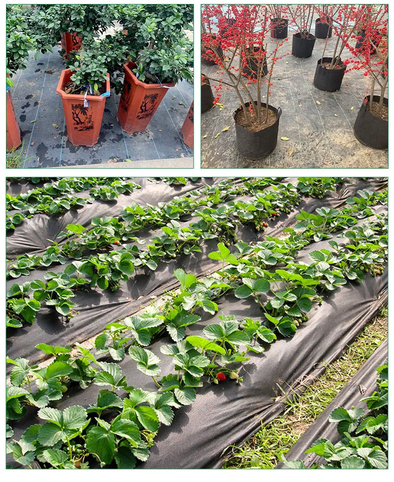 Perforiertes Unkrauttuch, mehrere Spezifikationen, landwirtschaftliches Unkrautkontrolltuch für Obstgärten, Blumen, Gartenarbeit und Gewächshäuser usw – Detail 6