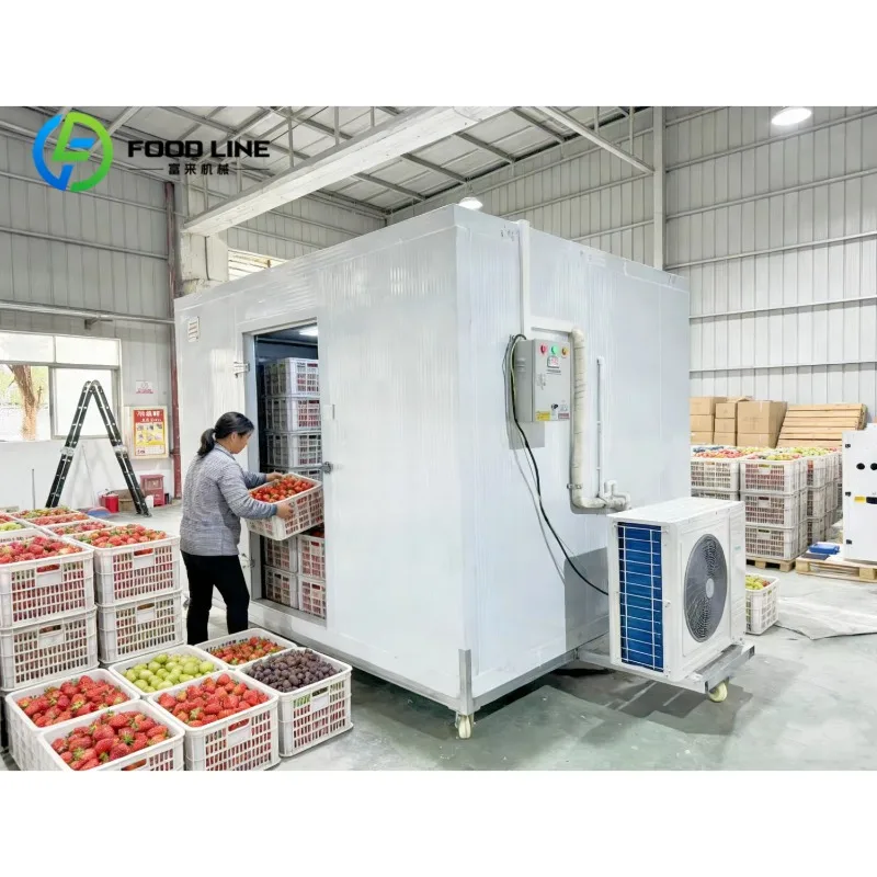 Portable Electric Cold Storage Container 2