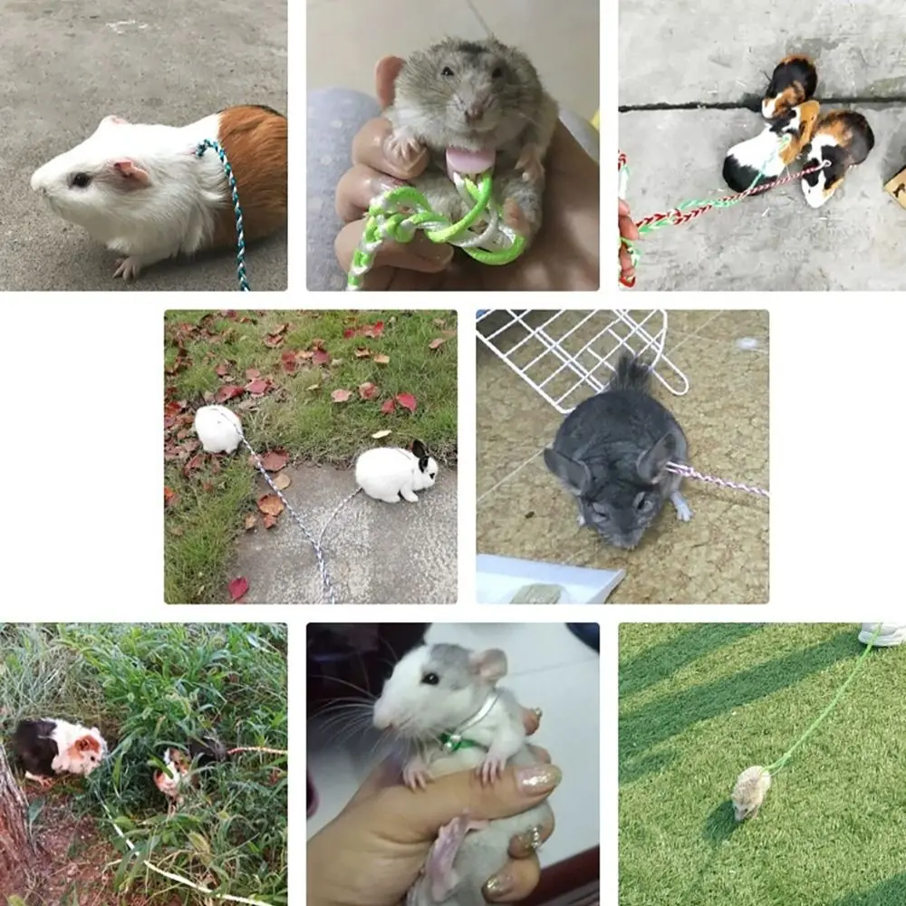 High Quality Adjustable Pet Hamster Leash Nylon 1.4m Walking Leash Pet Cage Leash Rat Mouse Hamster