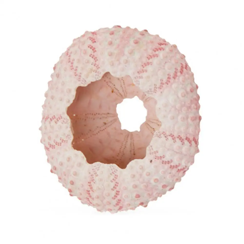Sexual Wellness & Adult Toys | Aliexpress.com