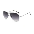 C4 sliver grey