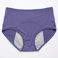 Slip physiologique pour femmes, 2 pièces, culotte menstruelle pour filles, anti-fuite, taille moyenne, sous-vêtements en soie glacée 3
