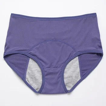 2pcs Women's Physiological Briefs Girl Menstrual Panties Ladies Period Leak Proof Panty Mid Waist Ice Silk Underwear 3