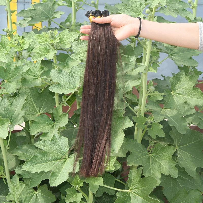 I Tip Keratin Pre bonded Hair Extensions Real Remy Russian Human Hair On The Capsule Fusion 0.1g/s 16-22 inch 50g/pack
