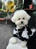 Dog clothes autumn and winter warm schnauzer fah bichon teddy small and medium-sized dogs and cats thickened fur coat 4