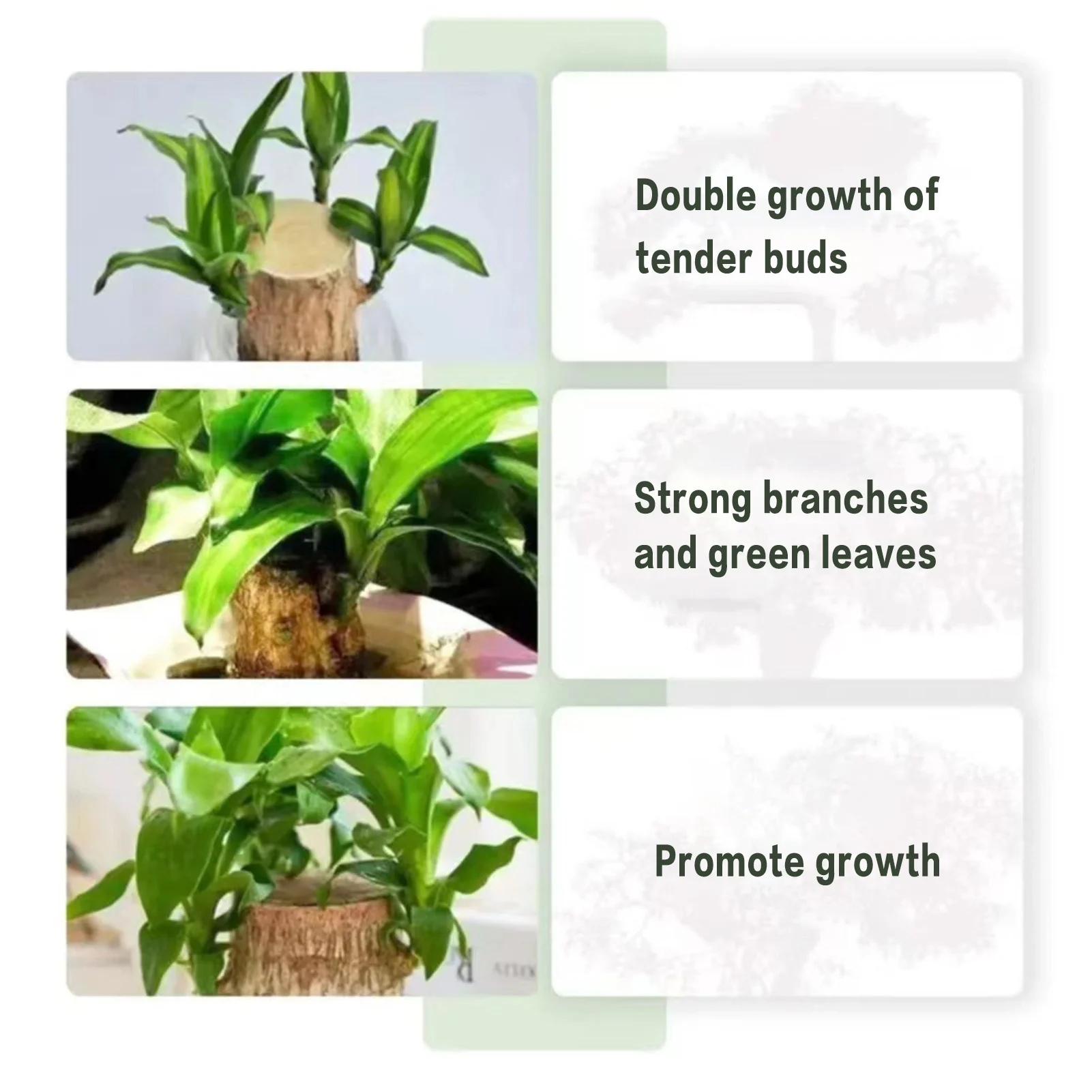 Plant Nutrient Solution 100ml Brazilian Wood Specific Liquid Fertilizer Household Hydroponic